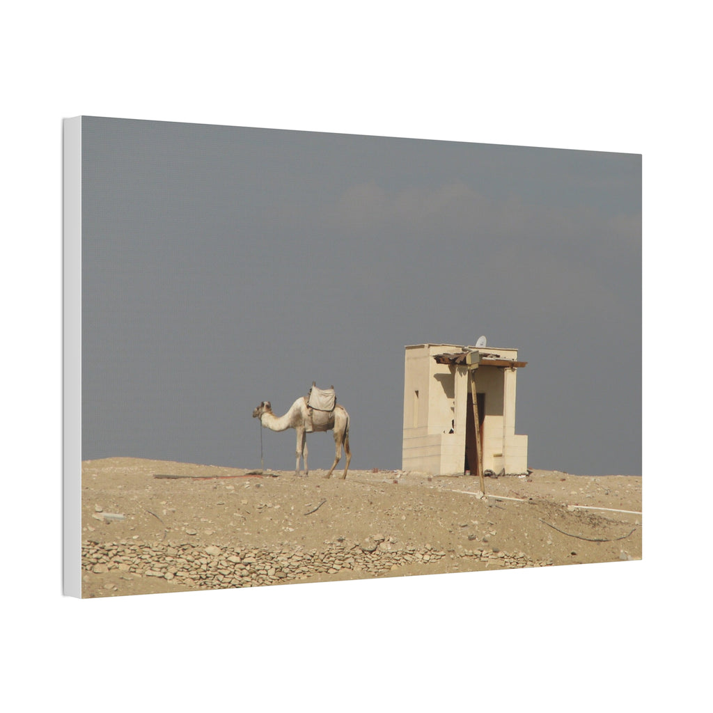 Desert Camel Landscape Canvas Wall Art