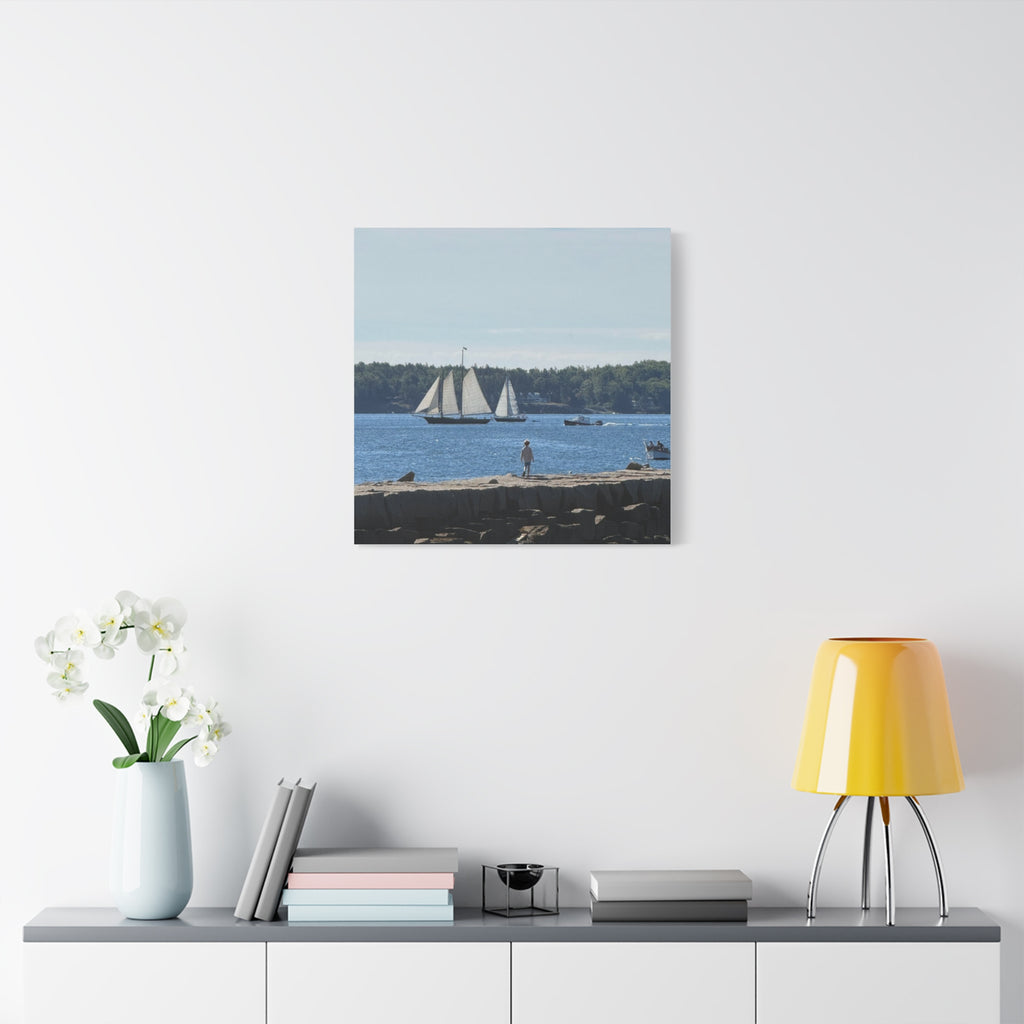 Schooner Sailboat Canvas (Rockland, Maine, USA)