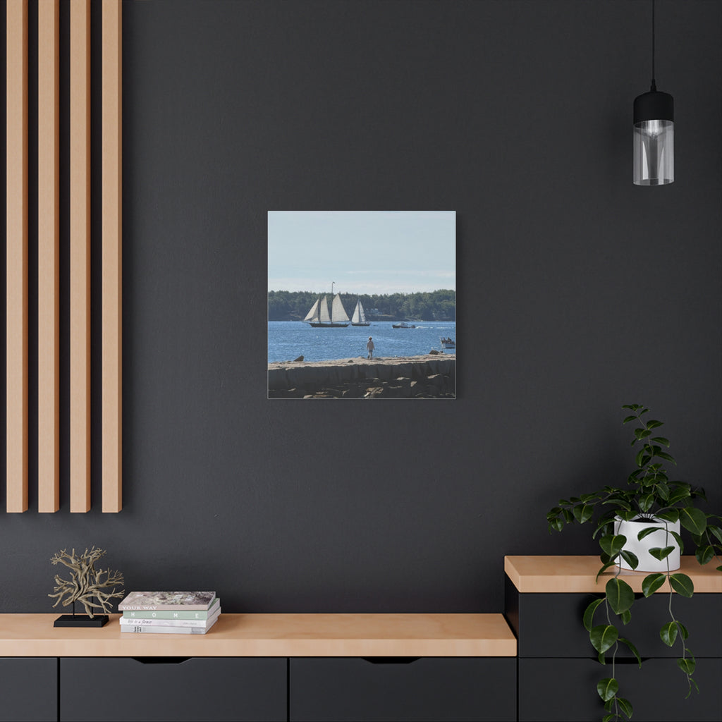 Schooner Sailboat Canvas (Rockland, Maine, USA)
