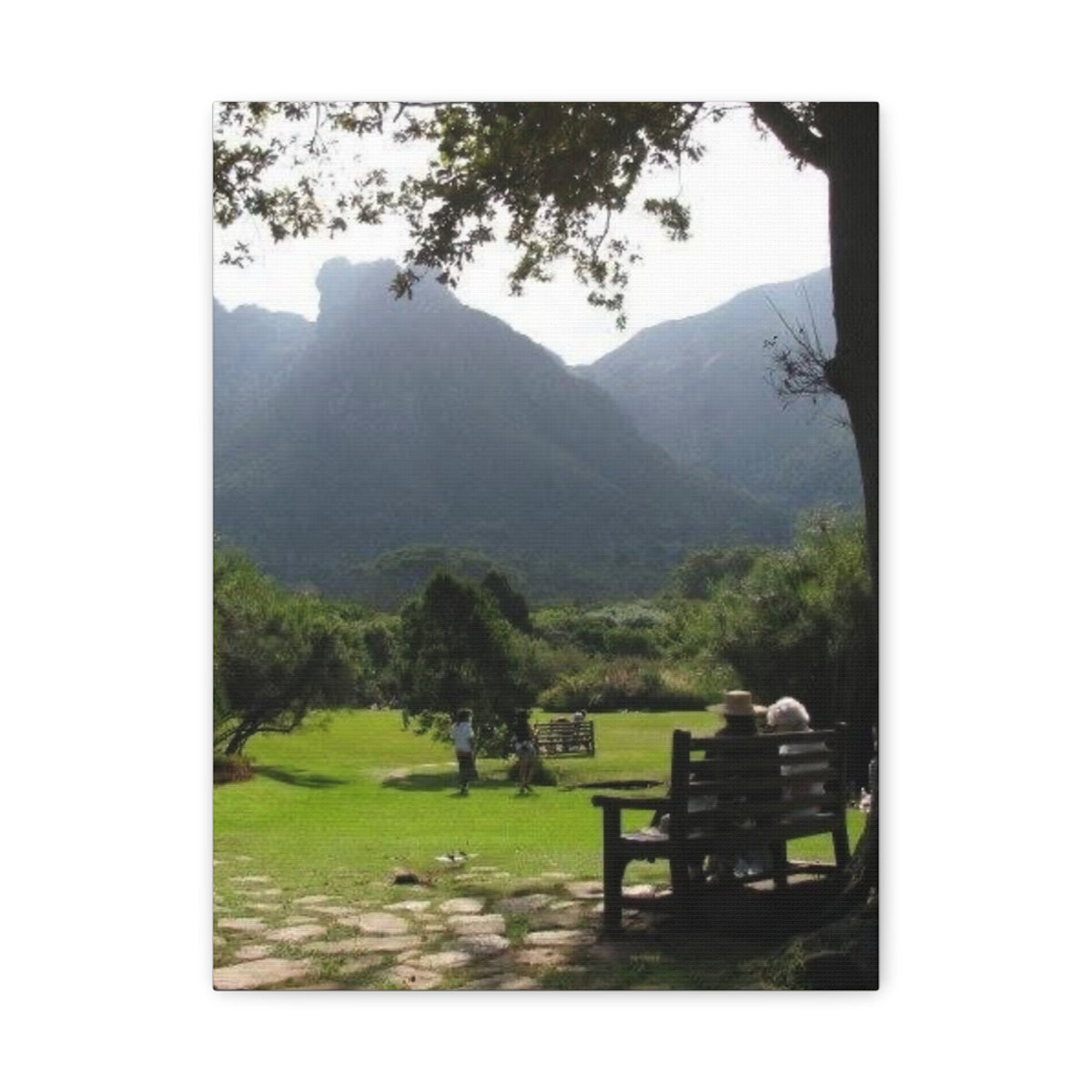 Mountain Valley Park Scene Matte Canvas Stretched 1.25" (South Africa)