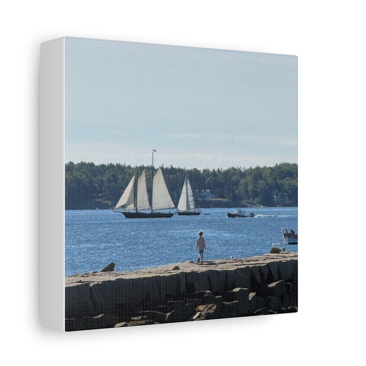 Schooner Sailboat Canvas (Rockland, Maine, USA)