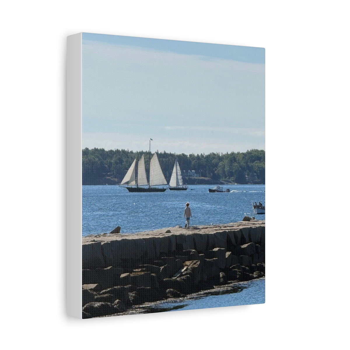 Schooner Sailboat Canvas (Rockland, Maine, USA)