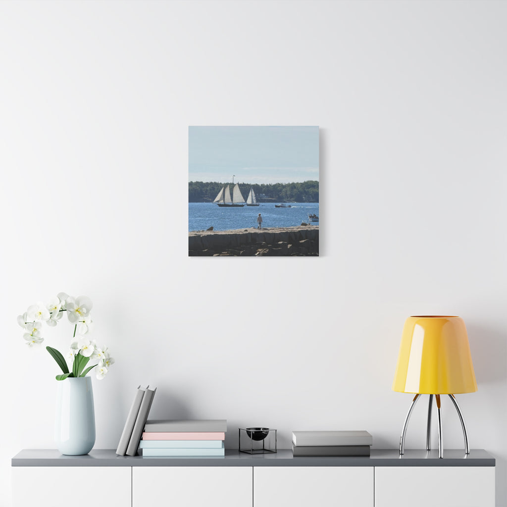 Schooner Sailboat Canvas (Rockland, Maine, USA)