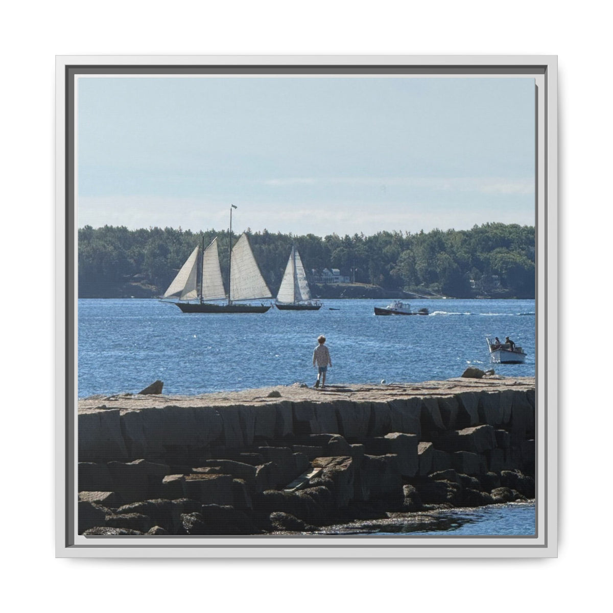 Framed Canvas Sailboat Harbor Seascape Wall Art
