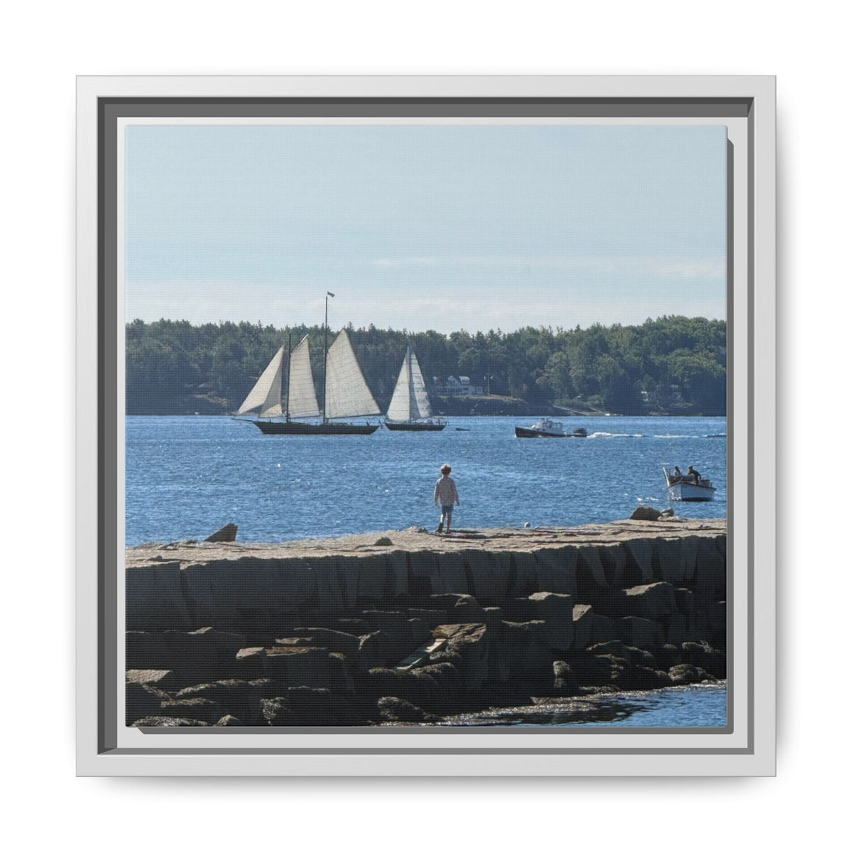 Framed Canvas Sailboat Harbor Seascape Wall Art