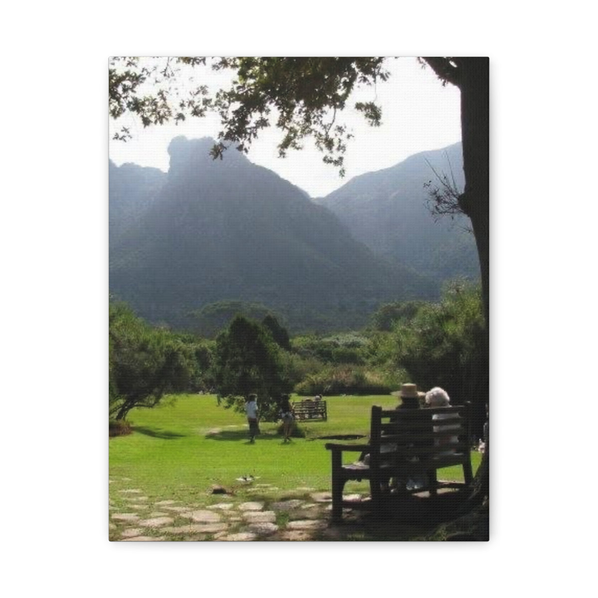 Mountain Valley Park Scene Matte Canvas Stretched 1.25" (South Africa)