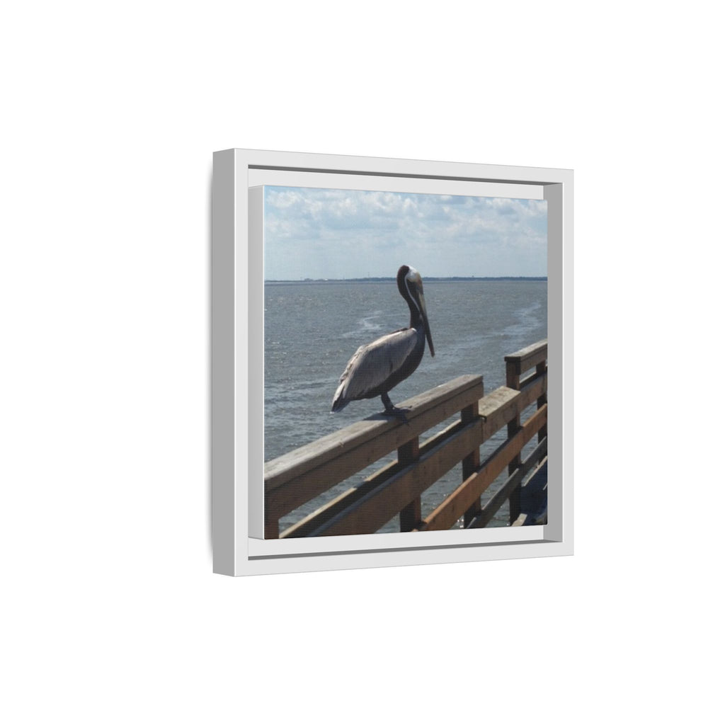 Brown Pelican Photo Canvas Framed Wall Art | Coastal Pier Seascape (USA)