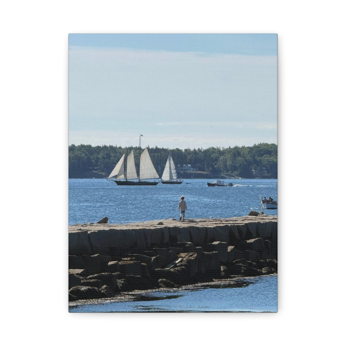 Schooner Sailboat Canvas (Rockland, Maine, USA)