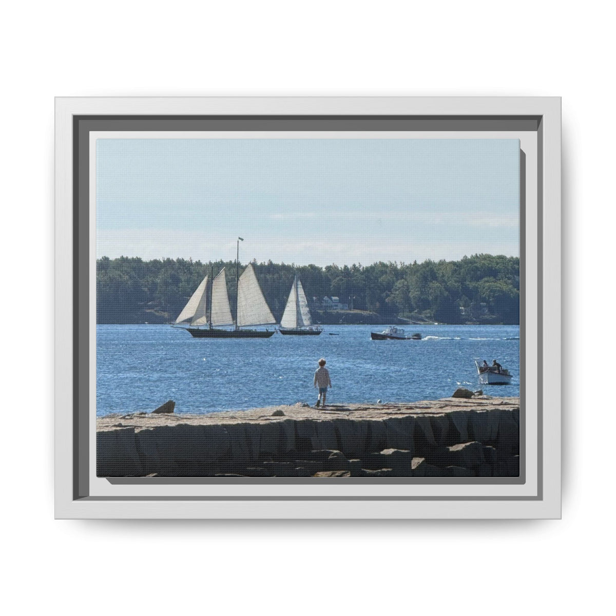 Framed Canvas Sailboat Harbor Seascape Wall Art