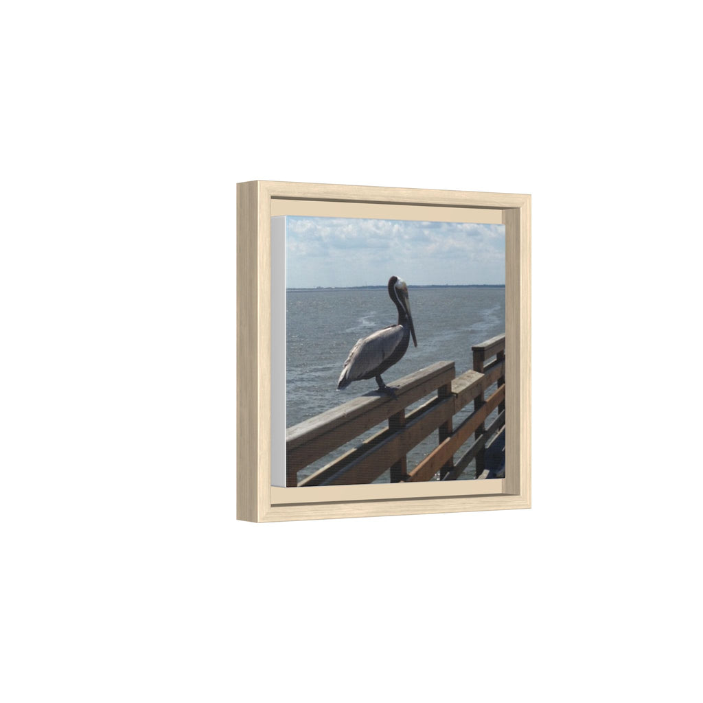 Brown Pelican Photo Canvas Framed Wall Art | Coastal Pier Seascape (USA)