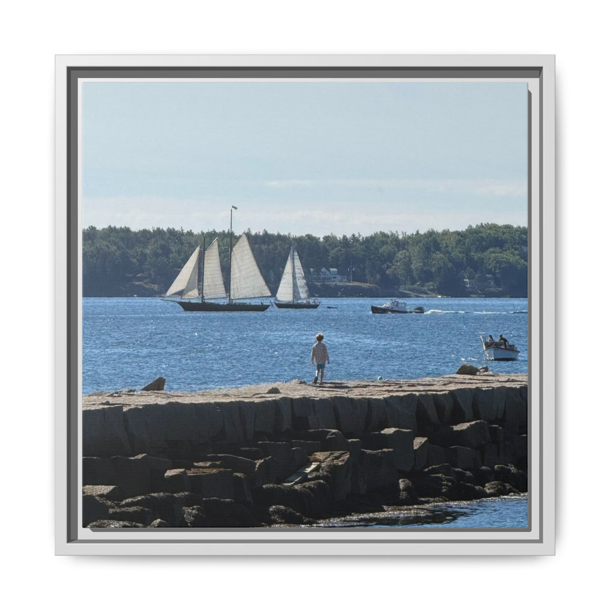 Framed Canvas Sailboat Harbor Seascape Wall Art