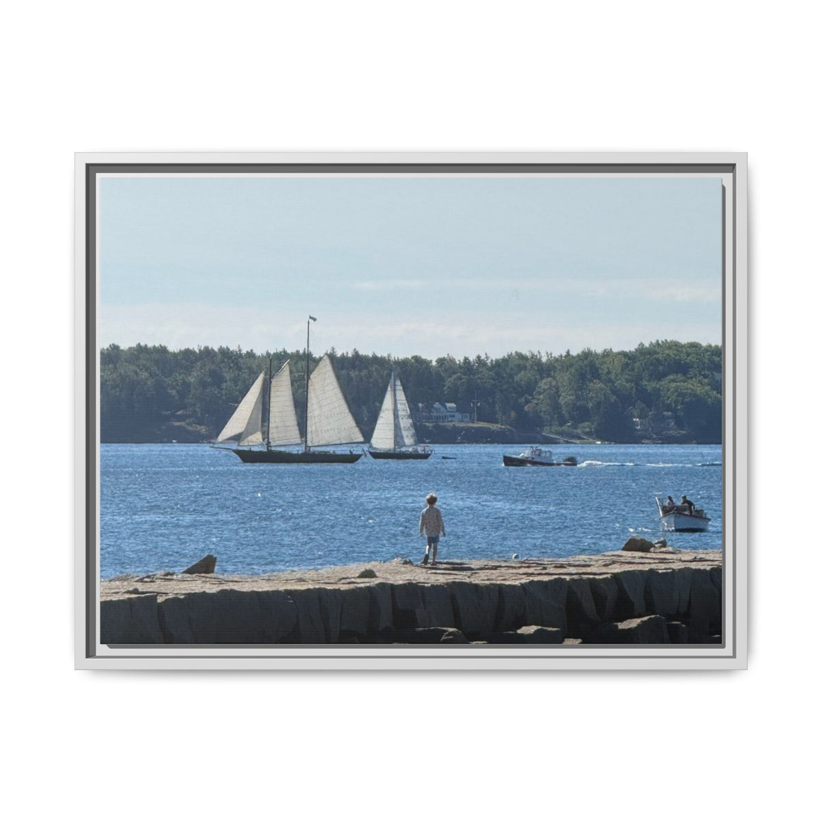 Framed Canvas Sailboat Harbor Seascape Wall Art