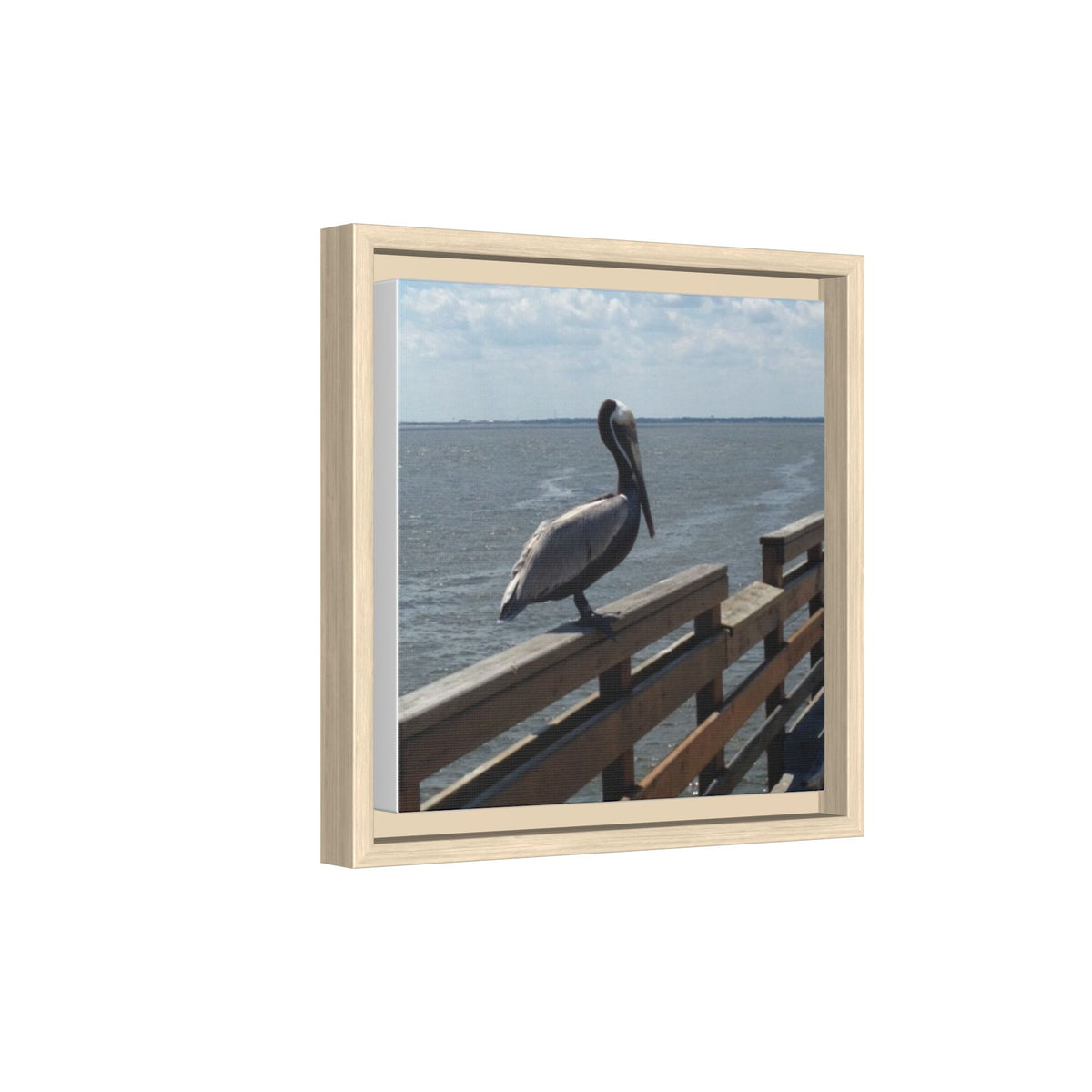 Brown Pelican Photo Canvas Framed Wall Art | Coastal Pier Seascape (USA)
