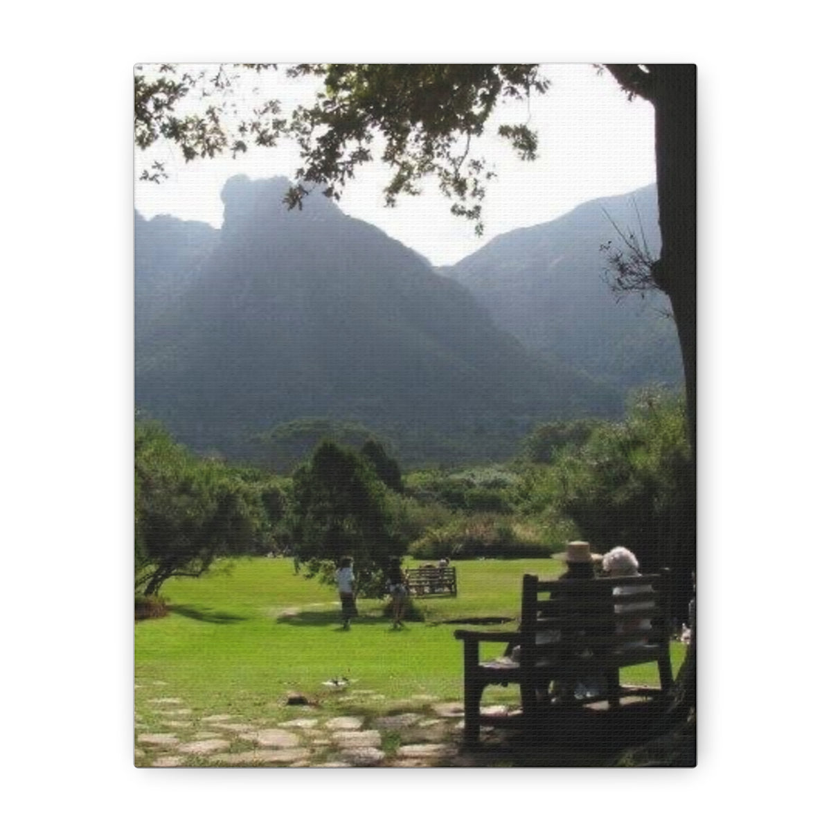 Mountain Valley Park Scene Matte Canvas Stretched 1.25" (South Africa)