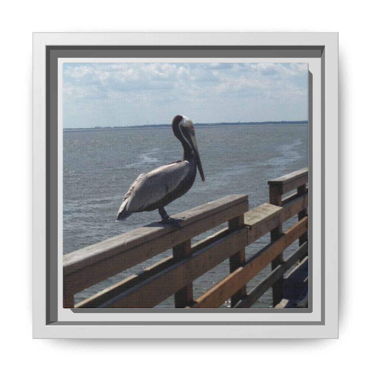 Brown Pelican Photo Canvas Framed Wall Art | Coastal Pier Seascape (USA)