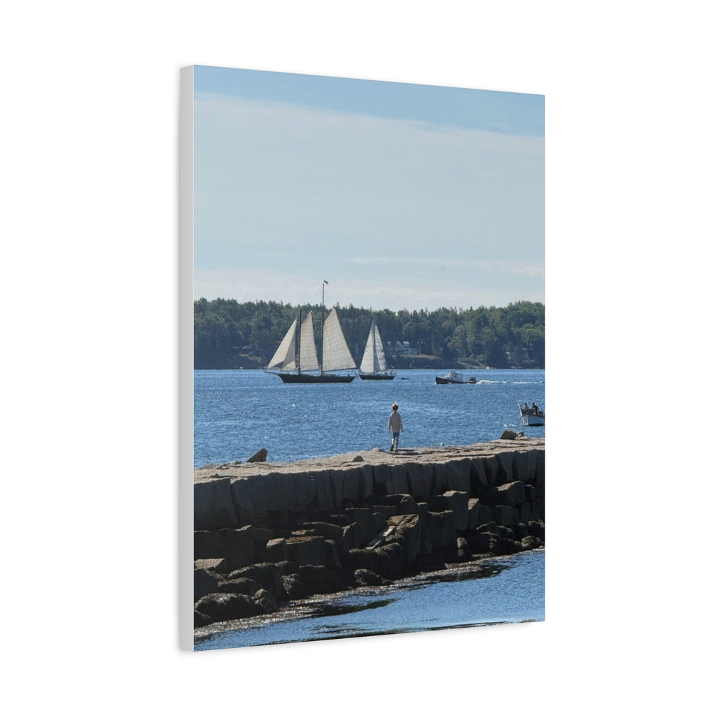 Schooner Sailboat Canvas (Rockland, Maine, USA)