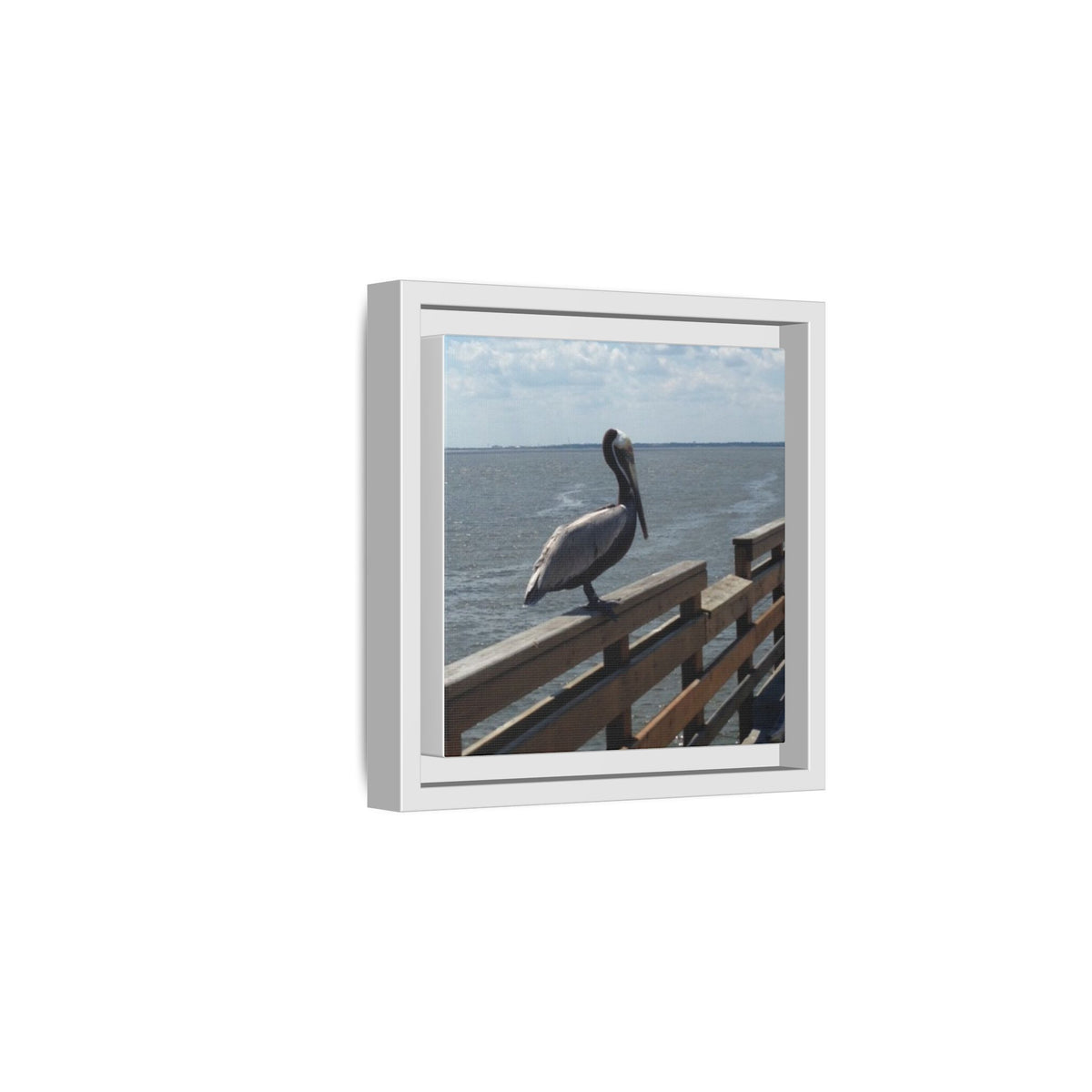 Brown Pelican Photo Canvas Framed Wall Art | Coastal Pier Seascape (USA)