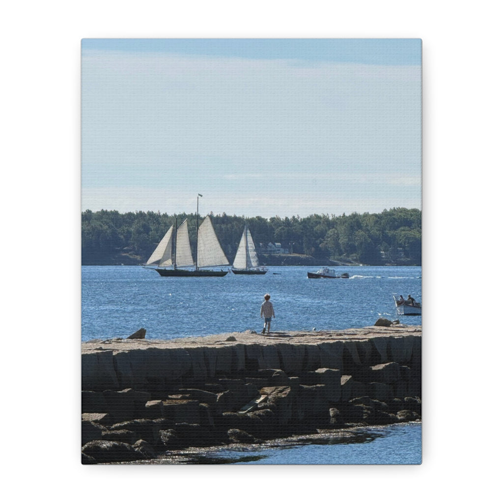 Schooner Sailboat Canvas (Rockland, Maine, USA)
