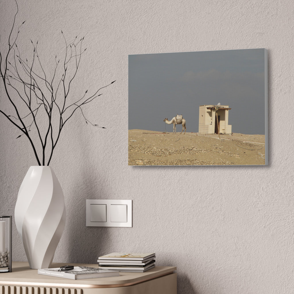 Desert Camel Landscape Canvas Wall Art