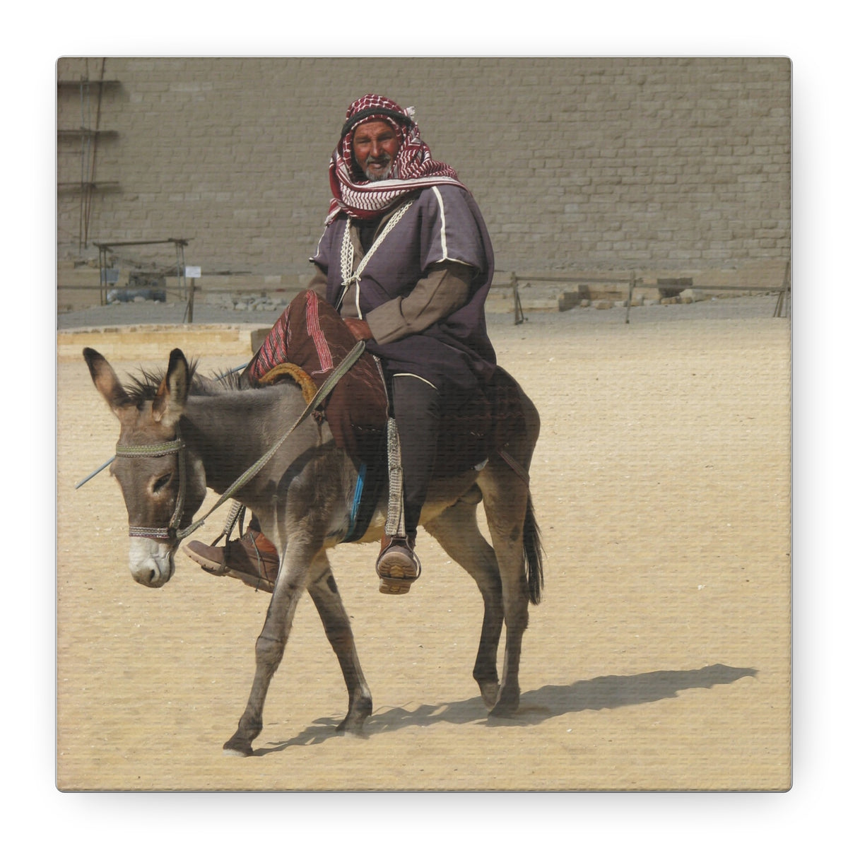 Desert Traveler on Donkey Matte Canvas Wall Art