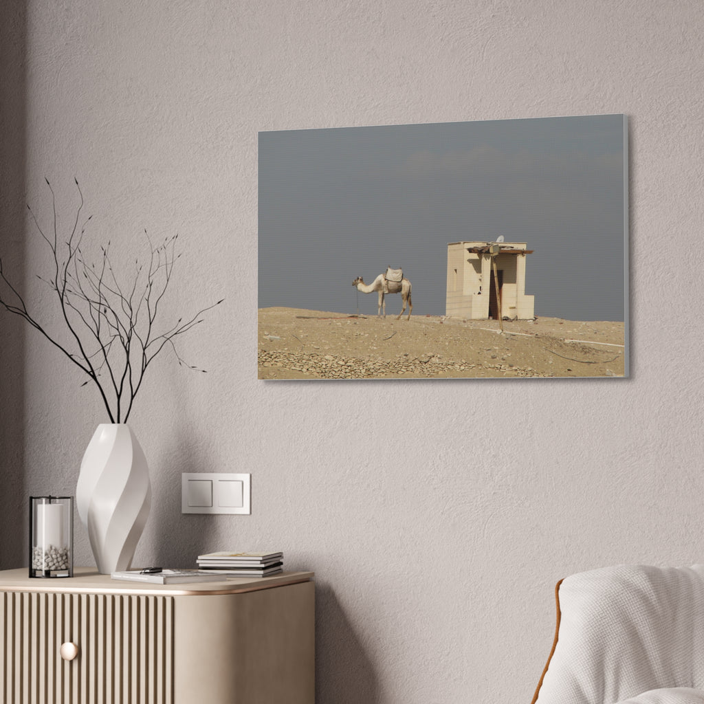 Desert Camel Landscape Canvas Wall Art