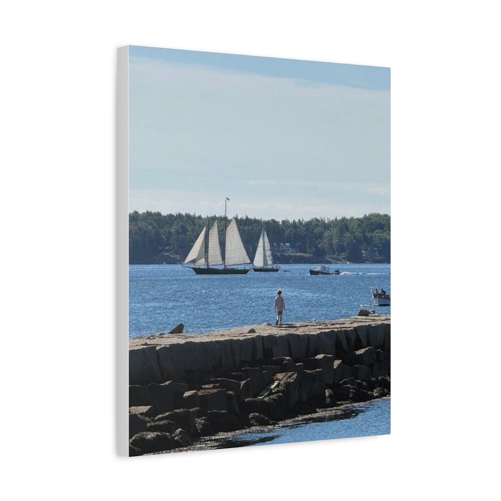 Schooner Sailboat Canvas (Rockland, Maine, USA)