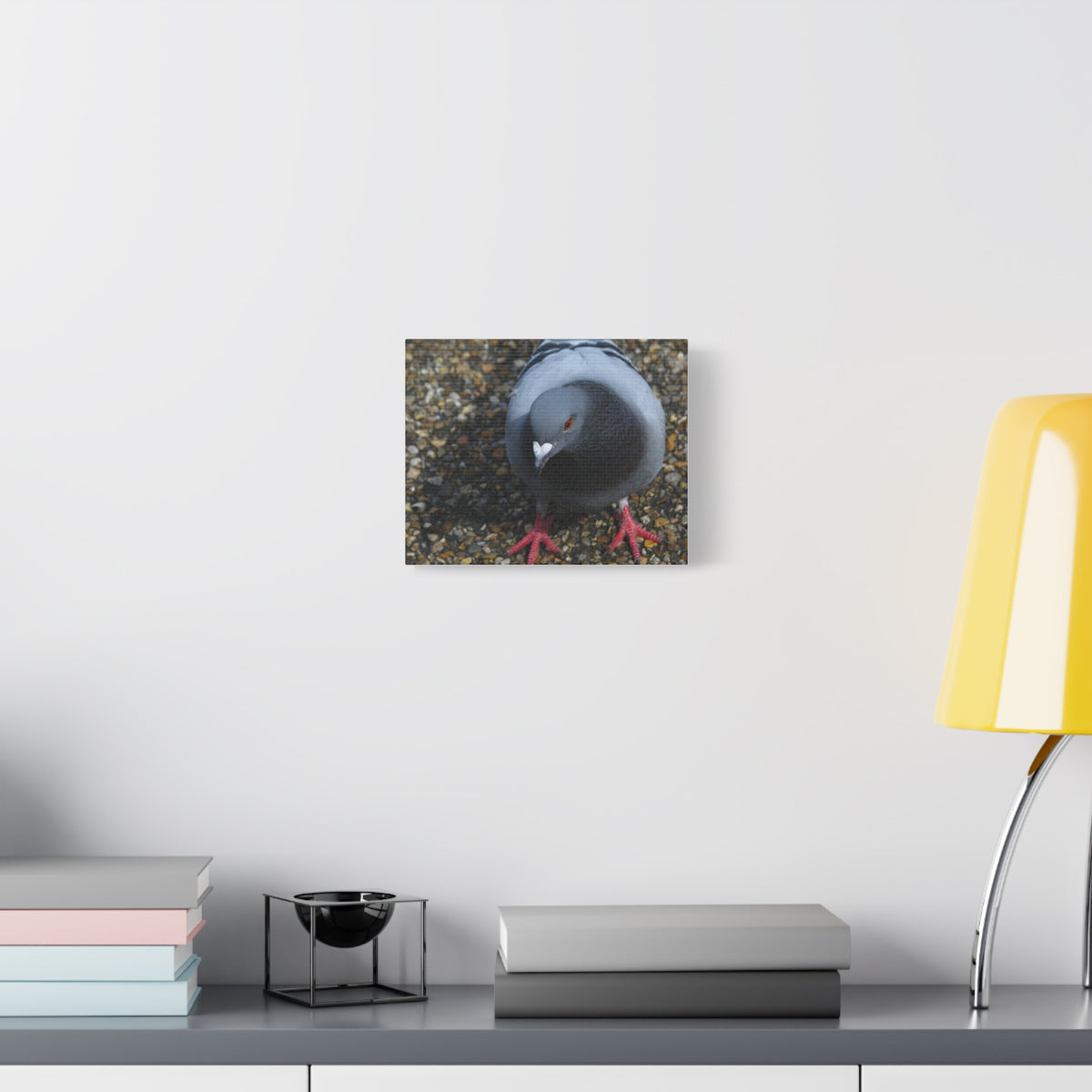 White Heart Pigeon Photo Canvas Wall Art
