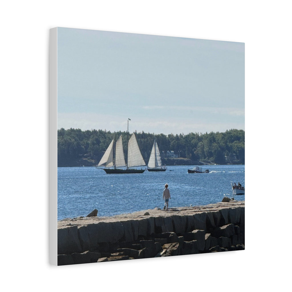 Schooner Sailboat Canvas (Rockland, Maine, USA)