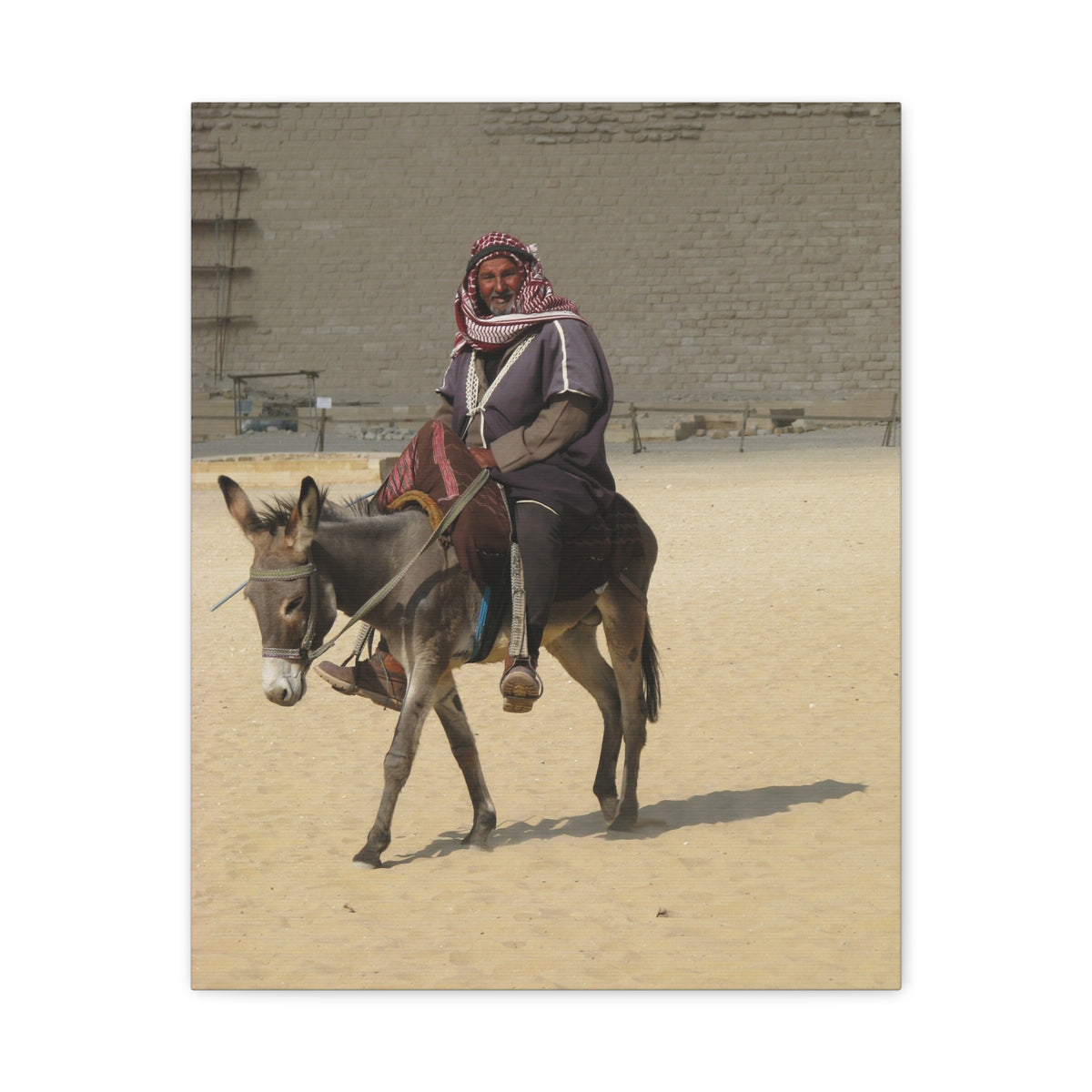 Desert Traveler on Donkey Matte Canvas Wall Art