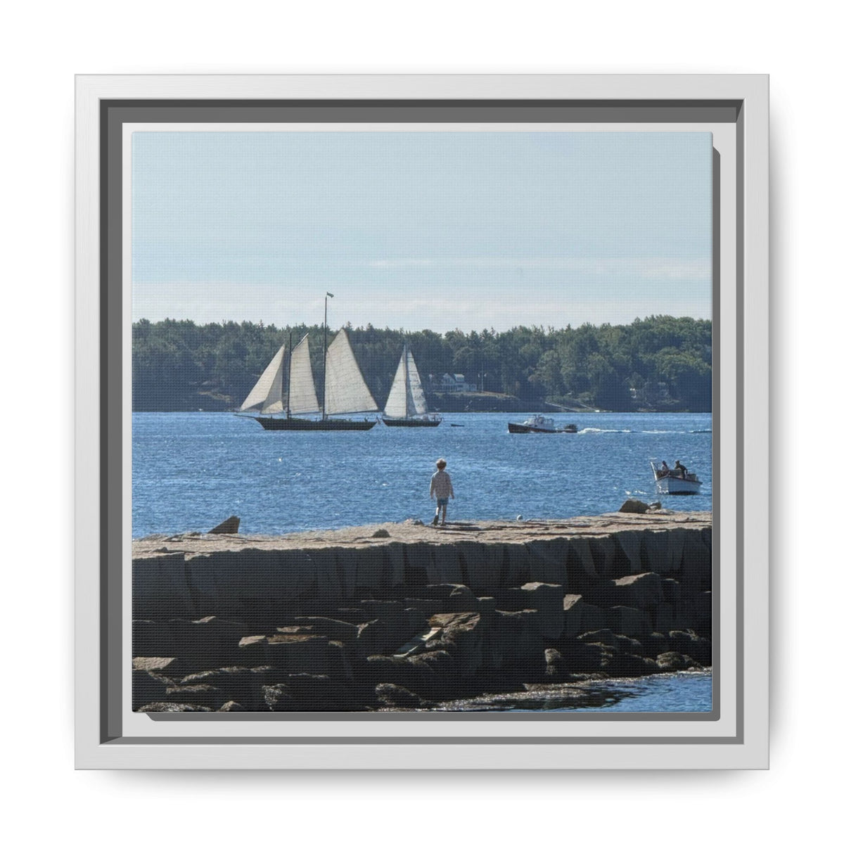 Framed Canvas Sailboat Harbor Seascape Wall Art