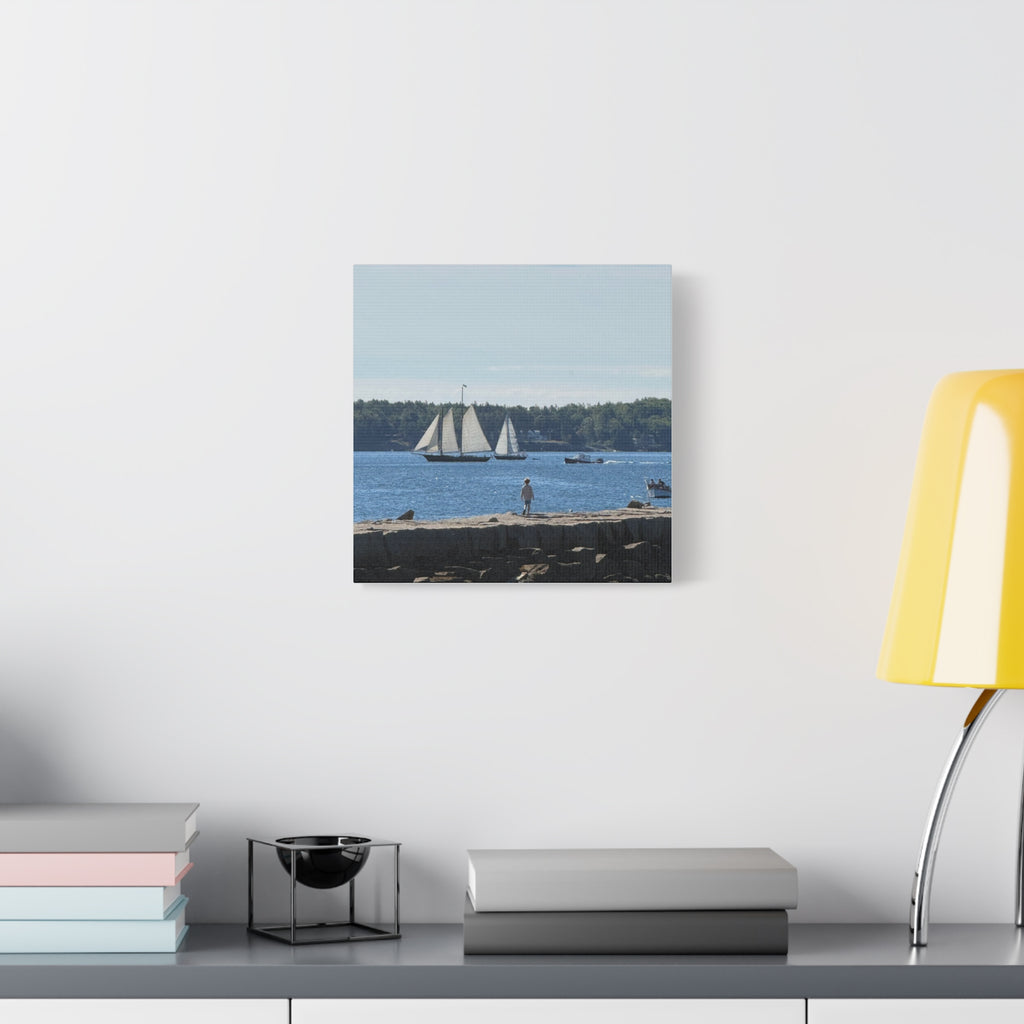 Schooner Sailboat Canvas (Rockland, Maine, USA)