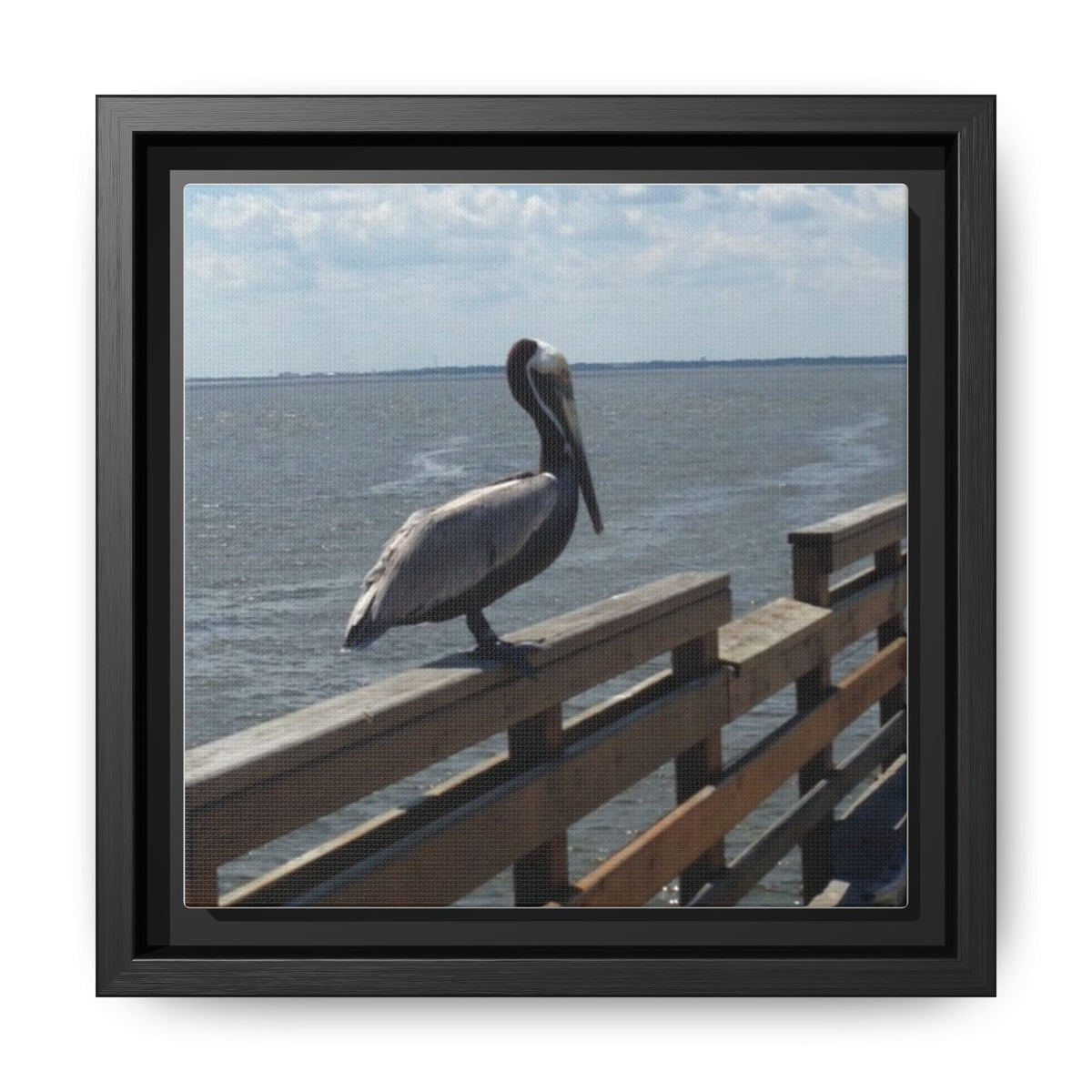 Brown Pelican Photo Canvas Framed Wall Art | Coastal Pier Seascape (USA)