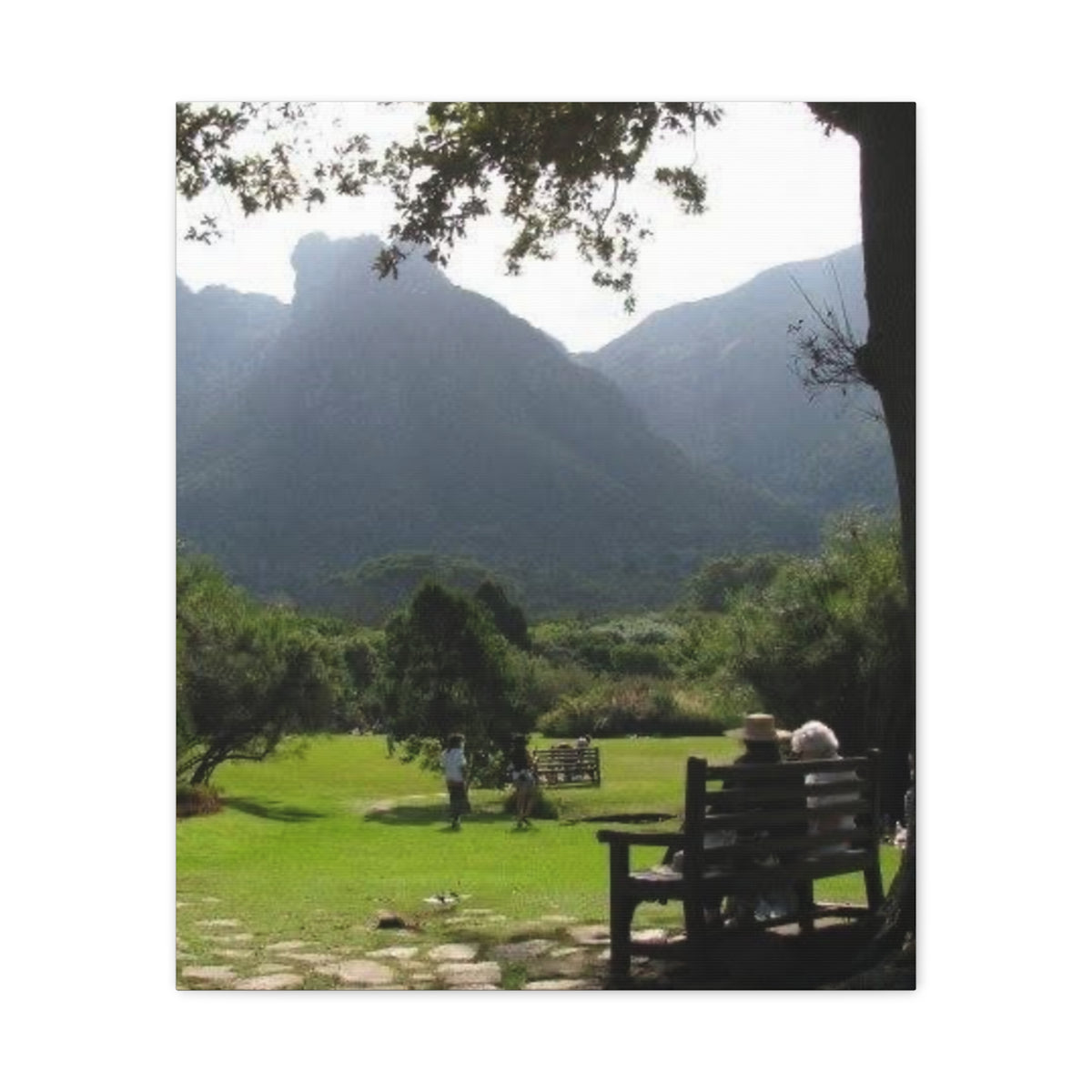 Mountain Valley Park Scene Matte Canvas Stretched 1.25" (South Africa)