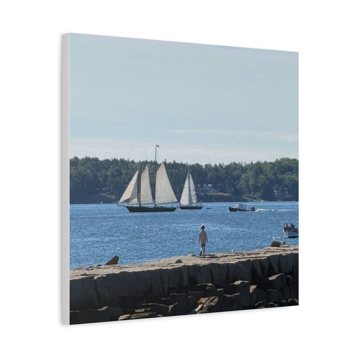 Schooner Sailboat Canvas (Rockland, Maine, USA)