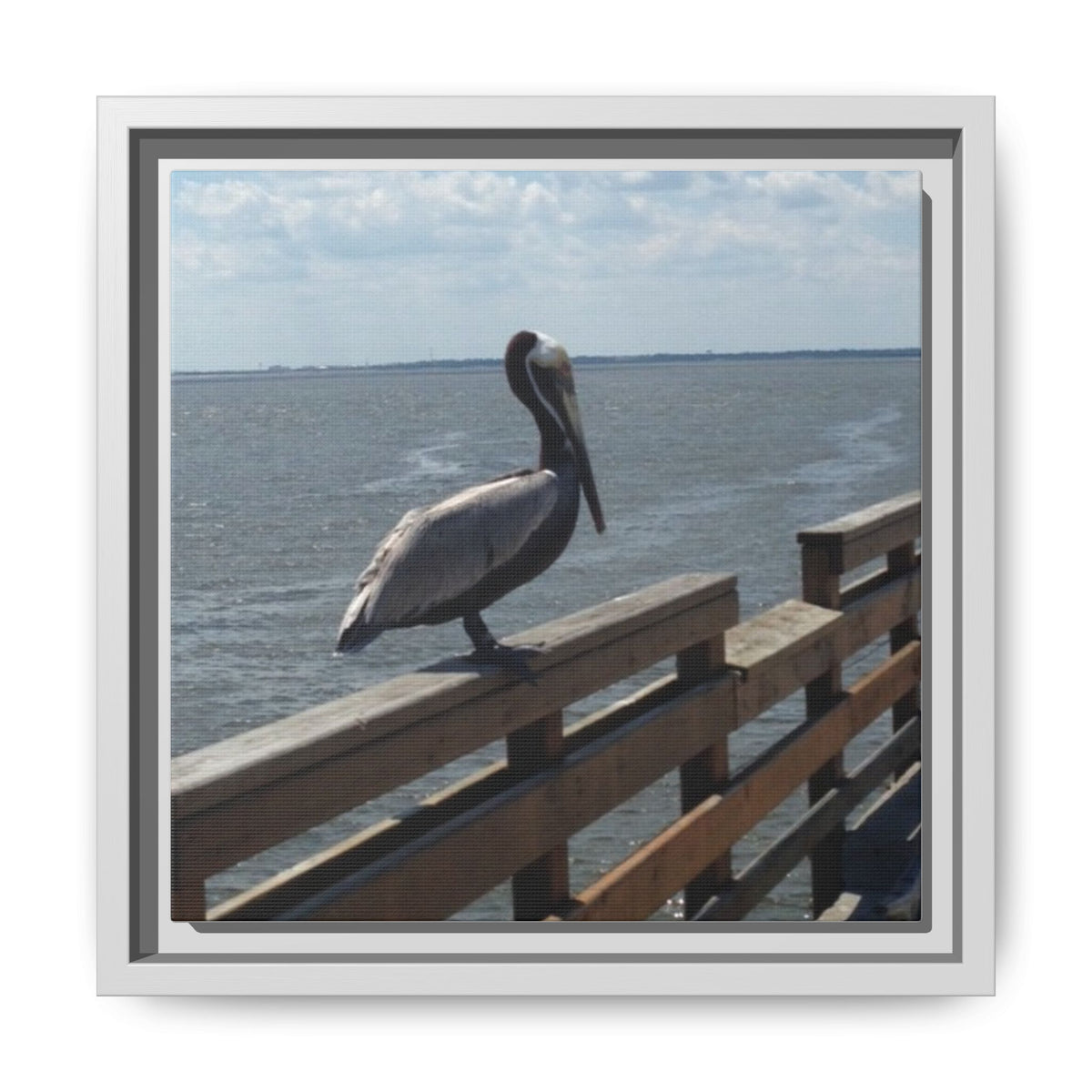 Brown Pelican Photo Canvas Framed Wall Art | Coastal Pier Seascape (USA)