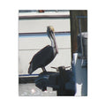 Pelican Coastal Wildlife Matte Canvas Wall Art