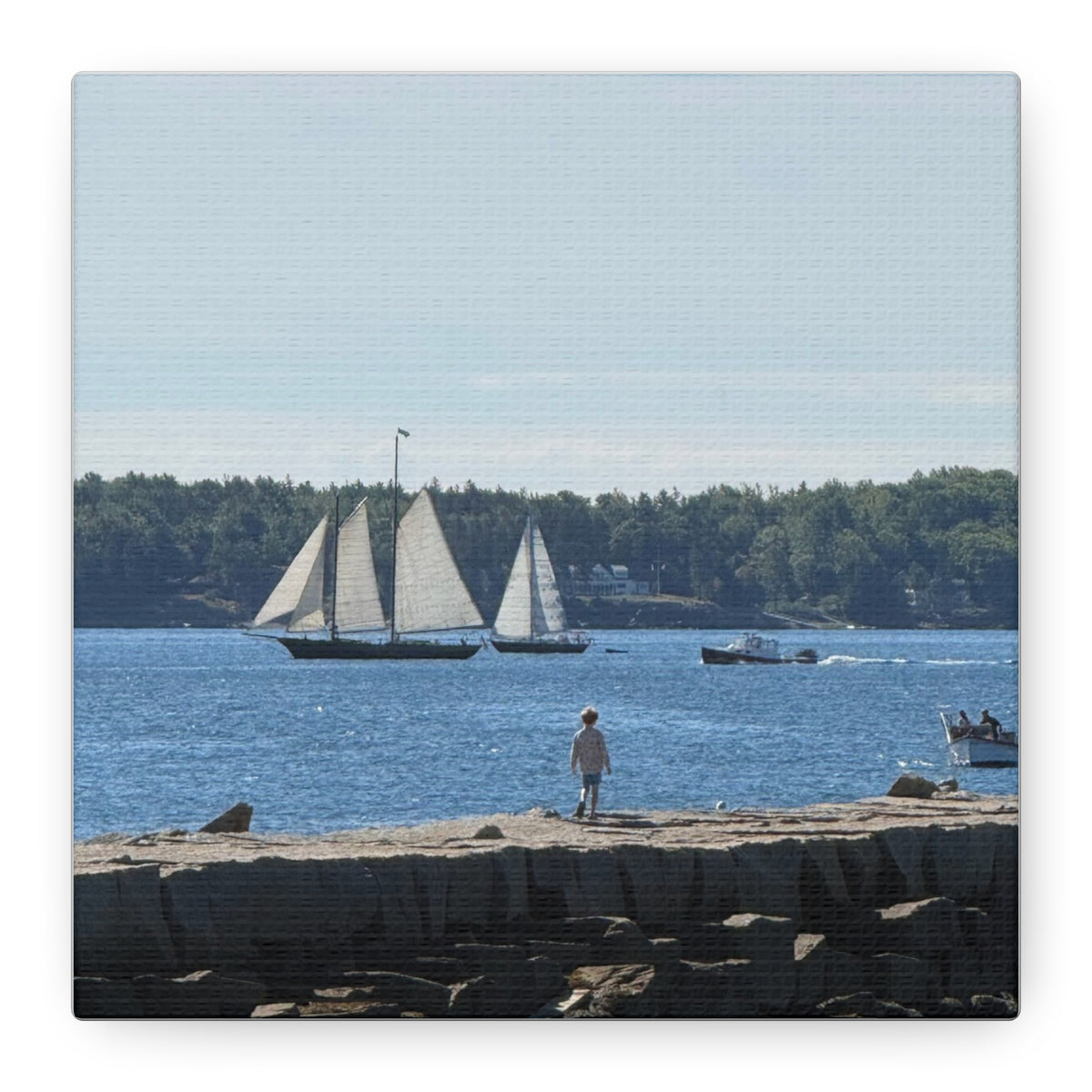 Schooner Sailboat Canvas (Rockland, Maine, USA)