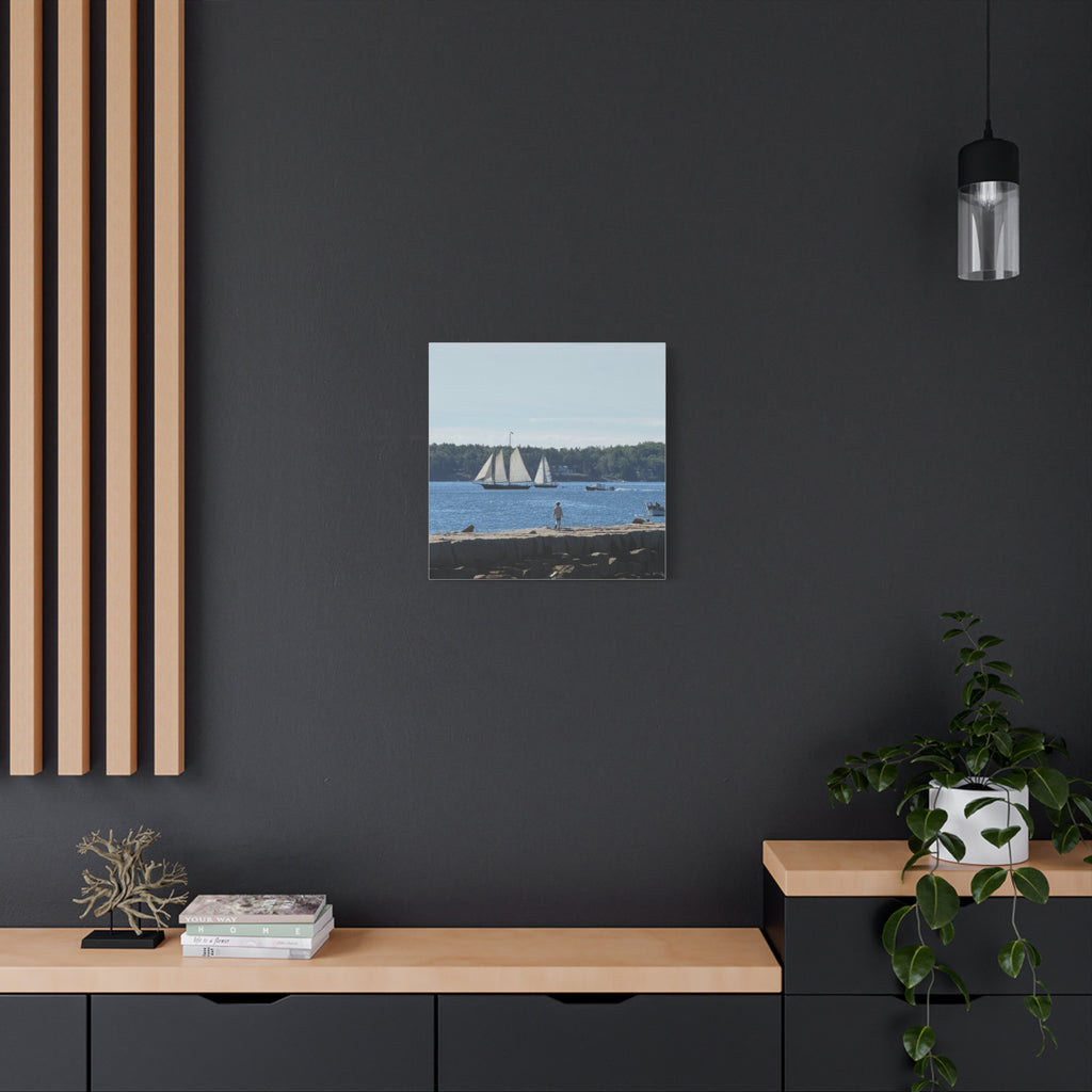 Schooner Sailboat Canvas (Rockland, Maine, USA)