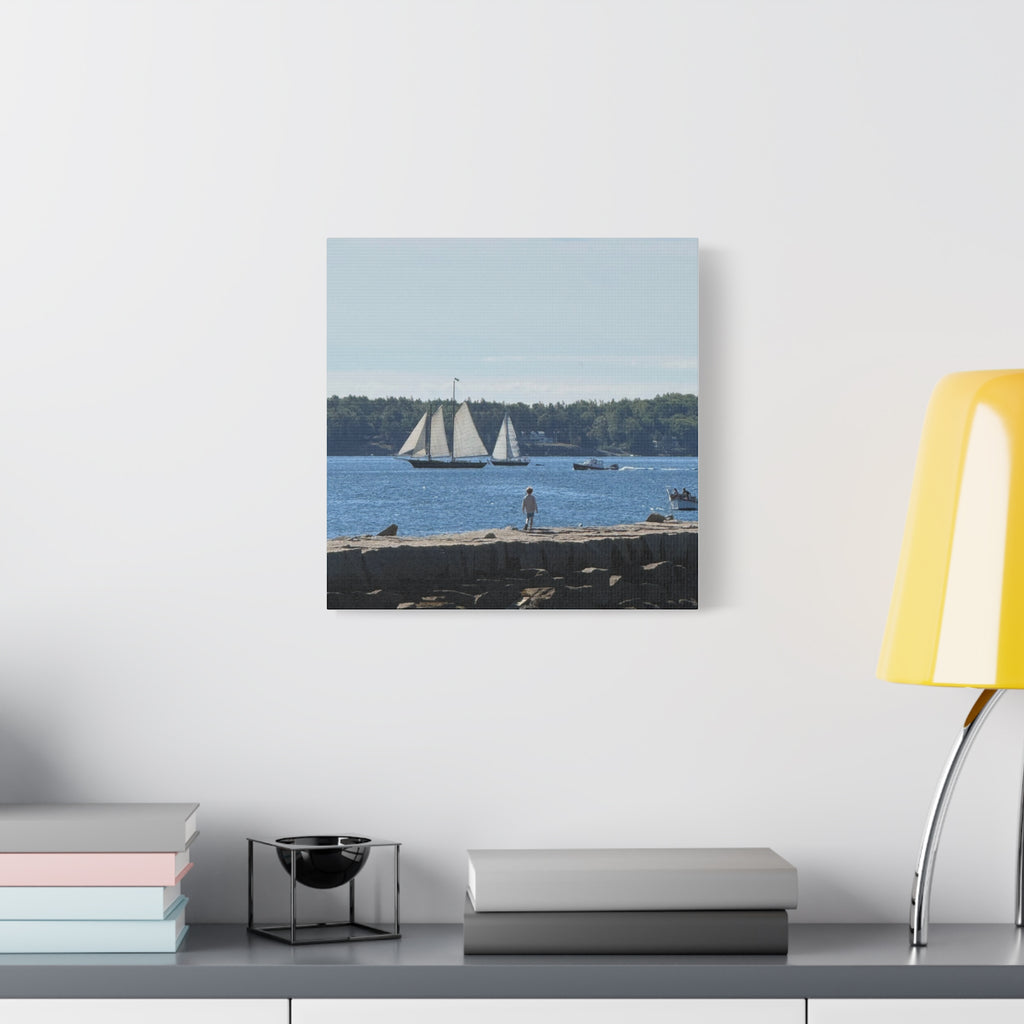 Schooner Sailboat Canvas (Rockland, Maine, USA)