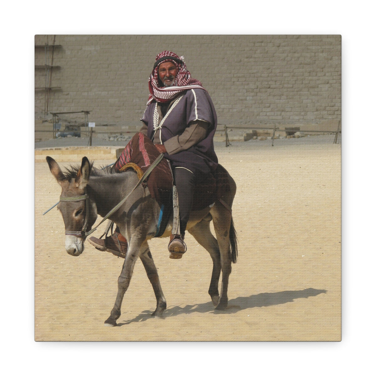 Desert Traveler on Donkey Matte Canvas Wall Art