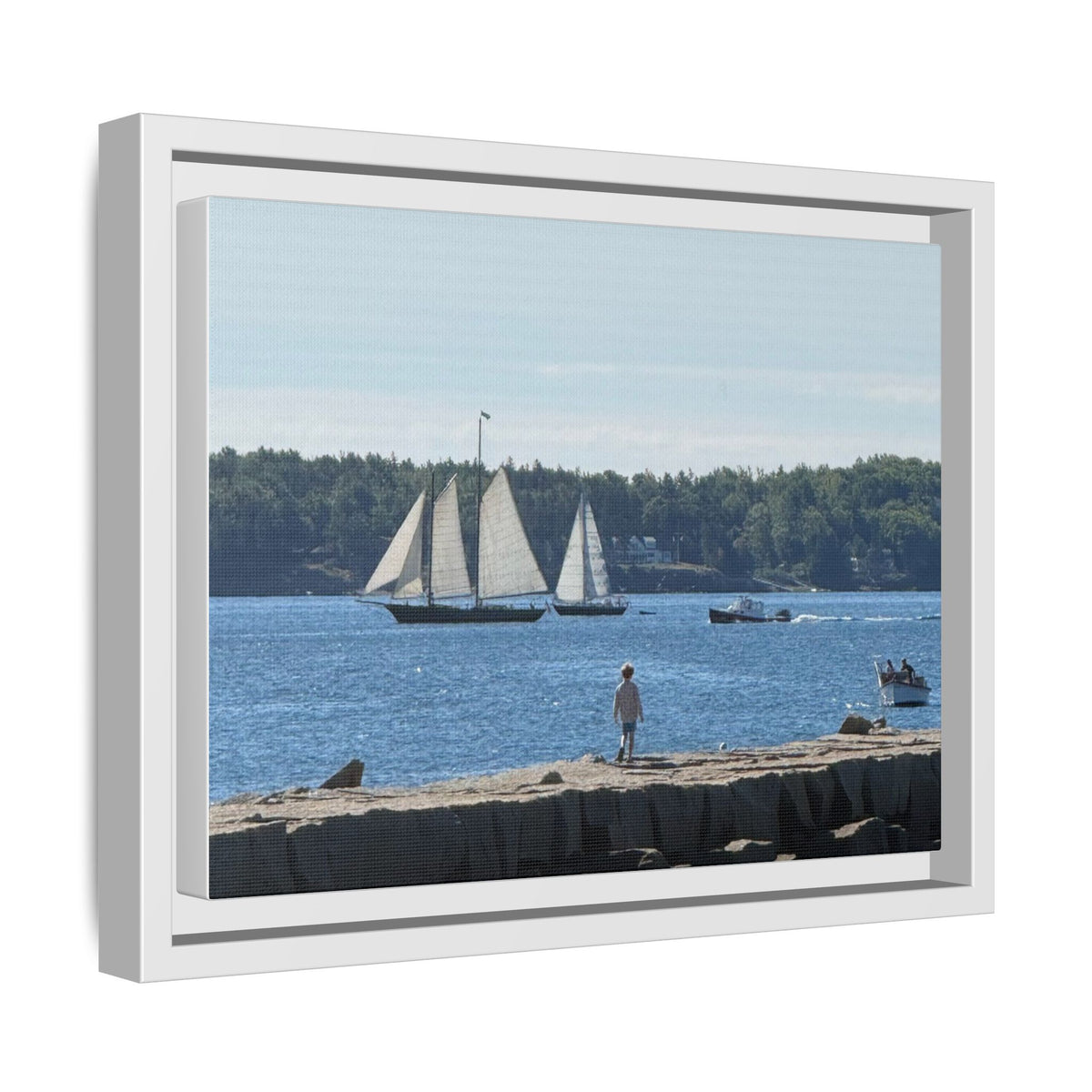 Framed Canvas Sailboat Harbor Seascape Wall Art