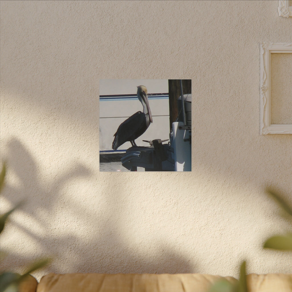 Pelican Coastal Wildlife Matte Canvas Wall Art