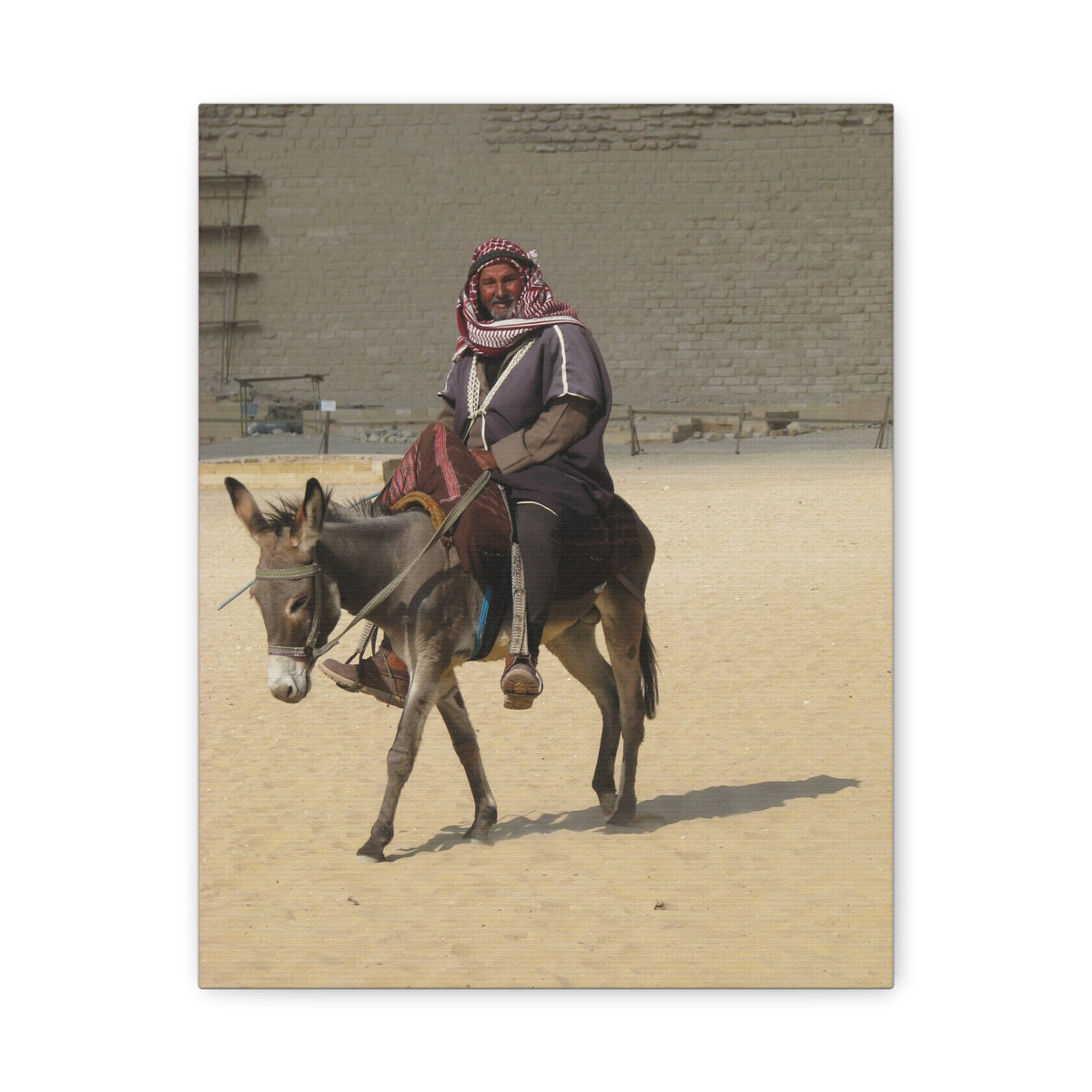 Desert Traveler on Donkey Matte Canvas Wall Art