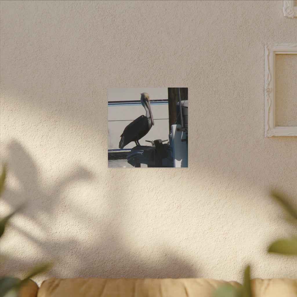 Pelican Coastal Wildlife Matte Canvas Wall Art