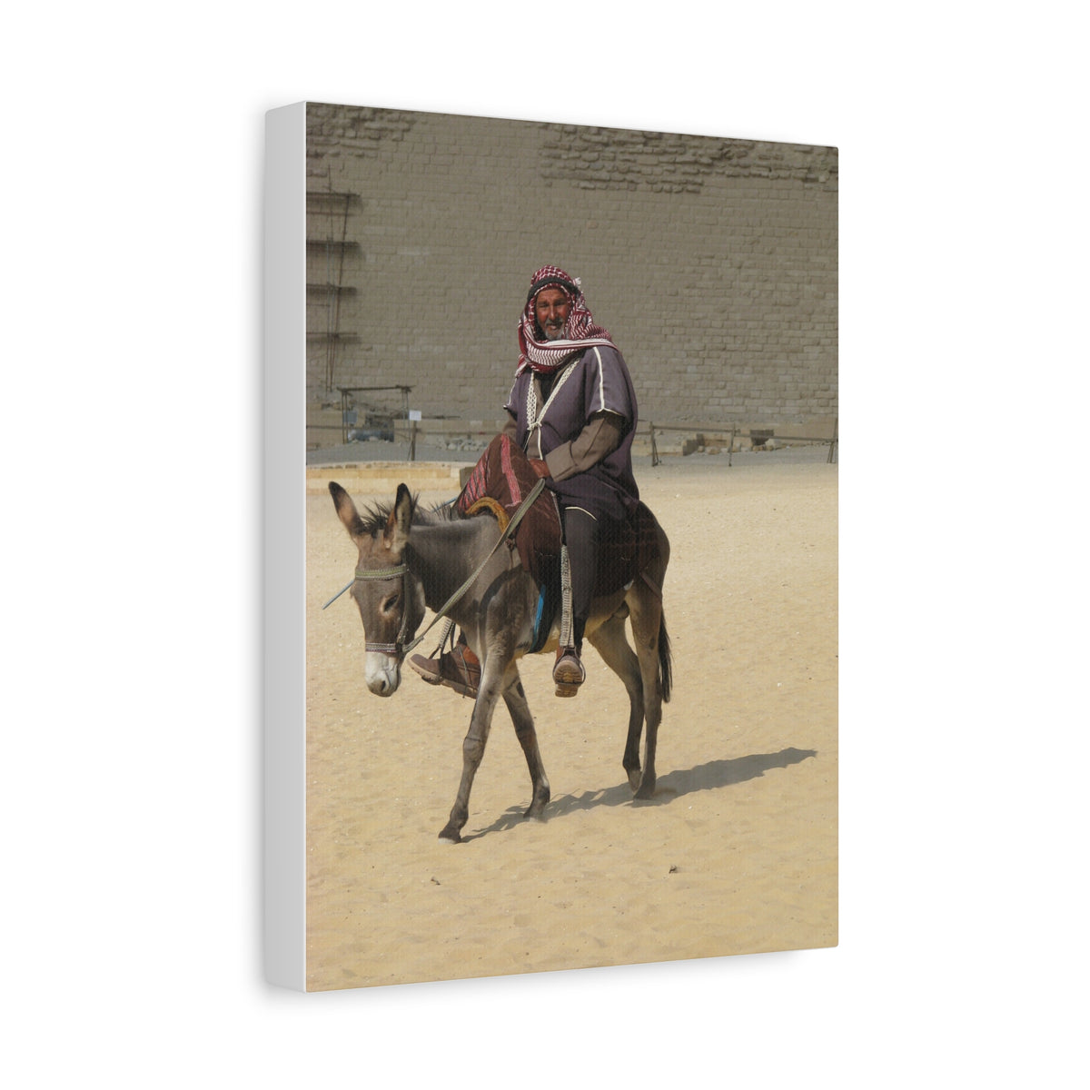 Desert Traveler on Donkey Matte Canvas Wall Art