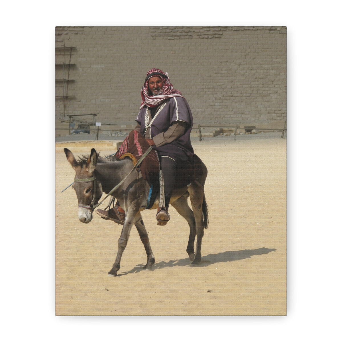 Desert Traveler on Donkey Matte Canvas Wall Art