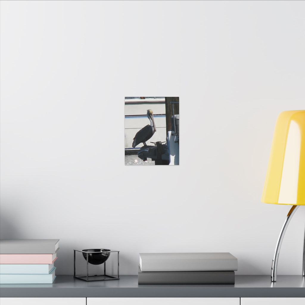Pelican Coastal Wildlife Matte Canvas Wall Art