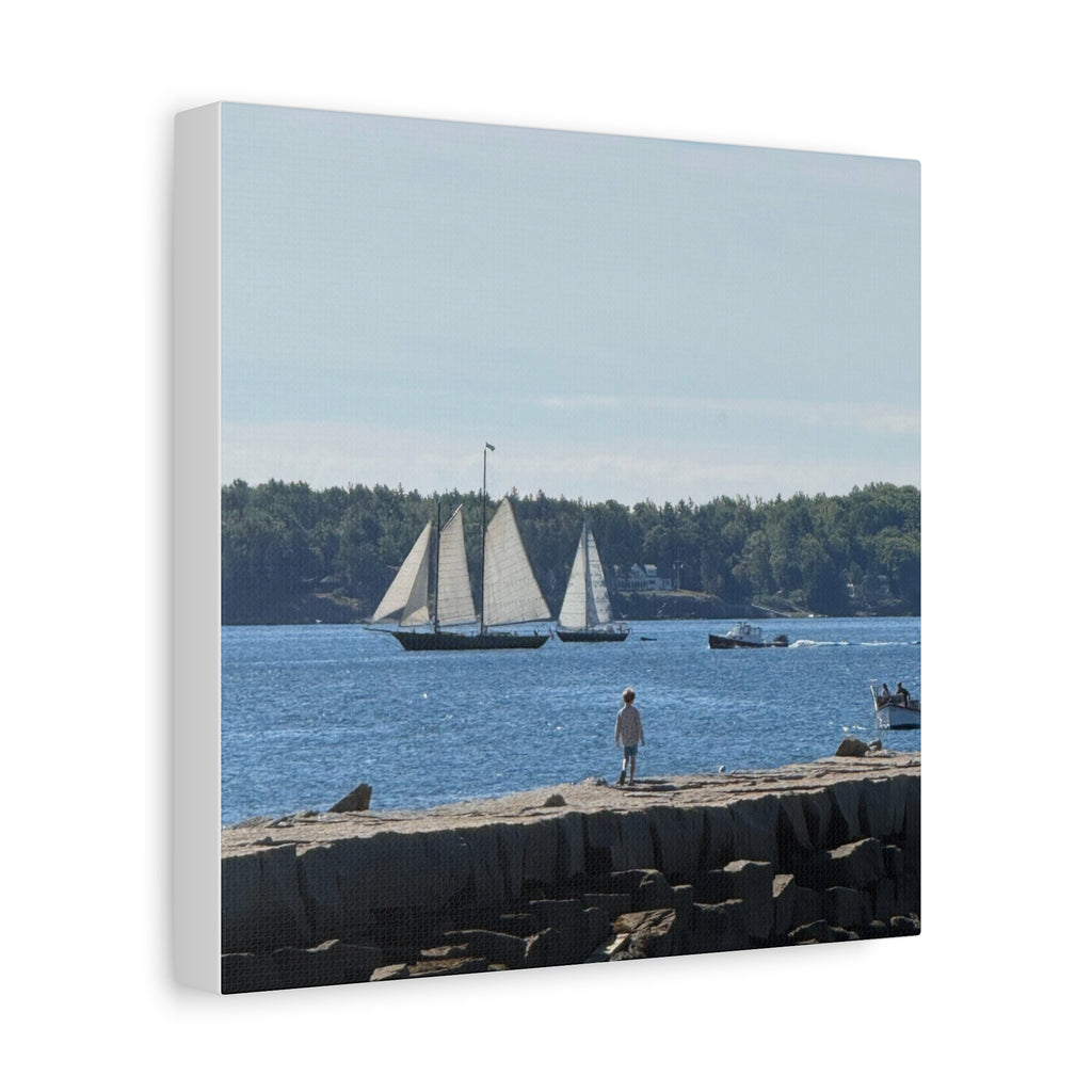 Schooner Sailboat Canvas (Rockland, Maine, USA)