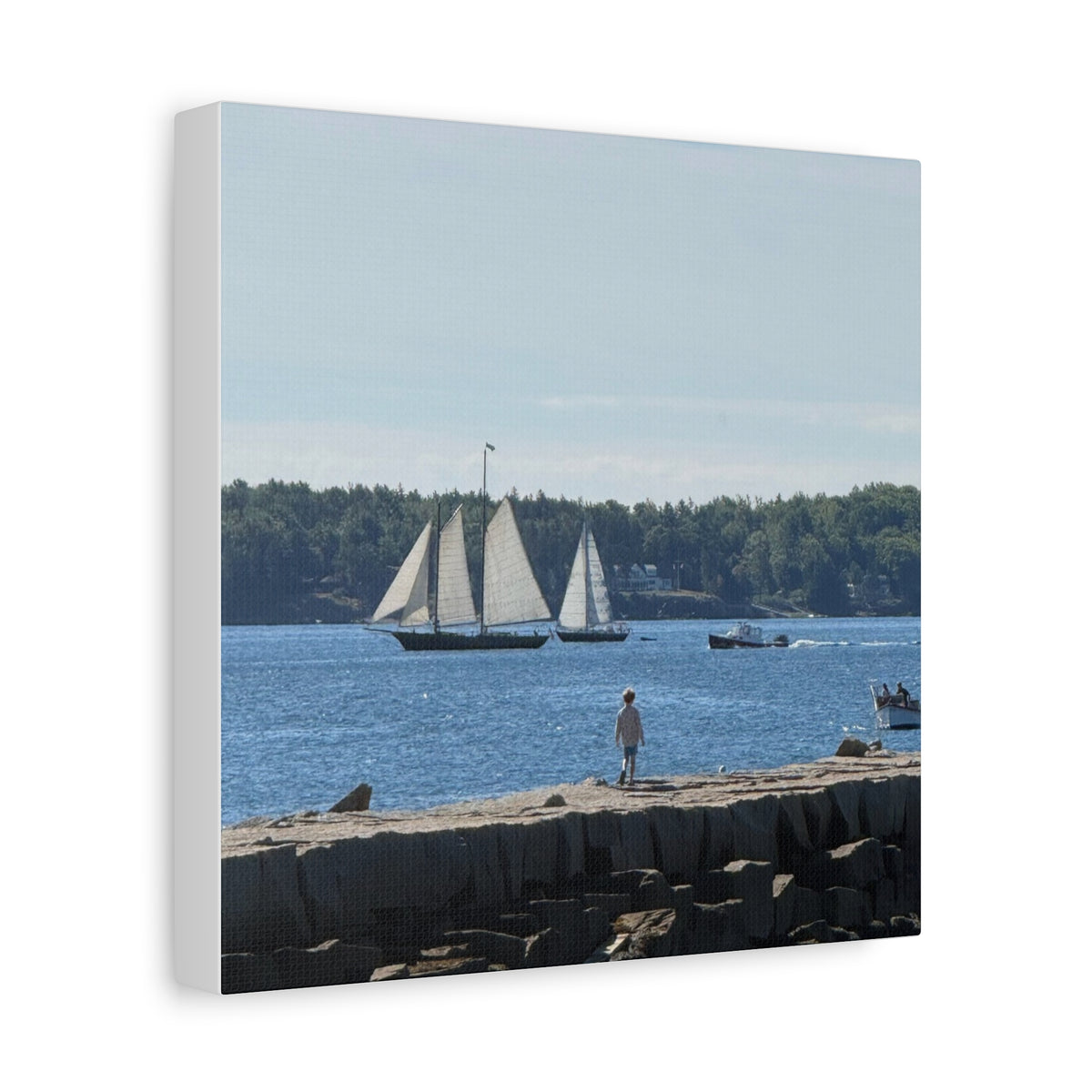Schooner Sailboat Canvas (Rockland, Maine, USA)