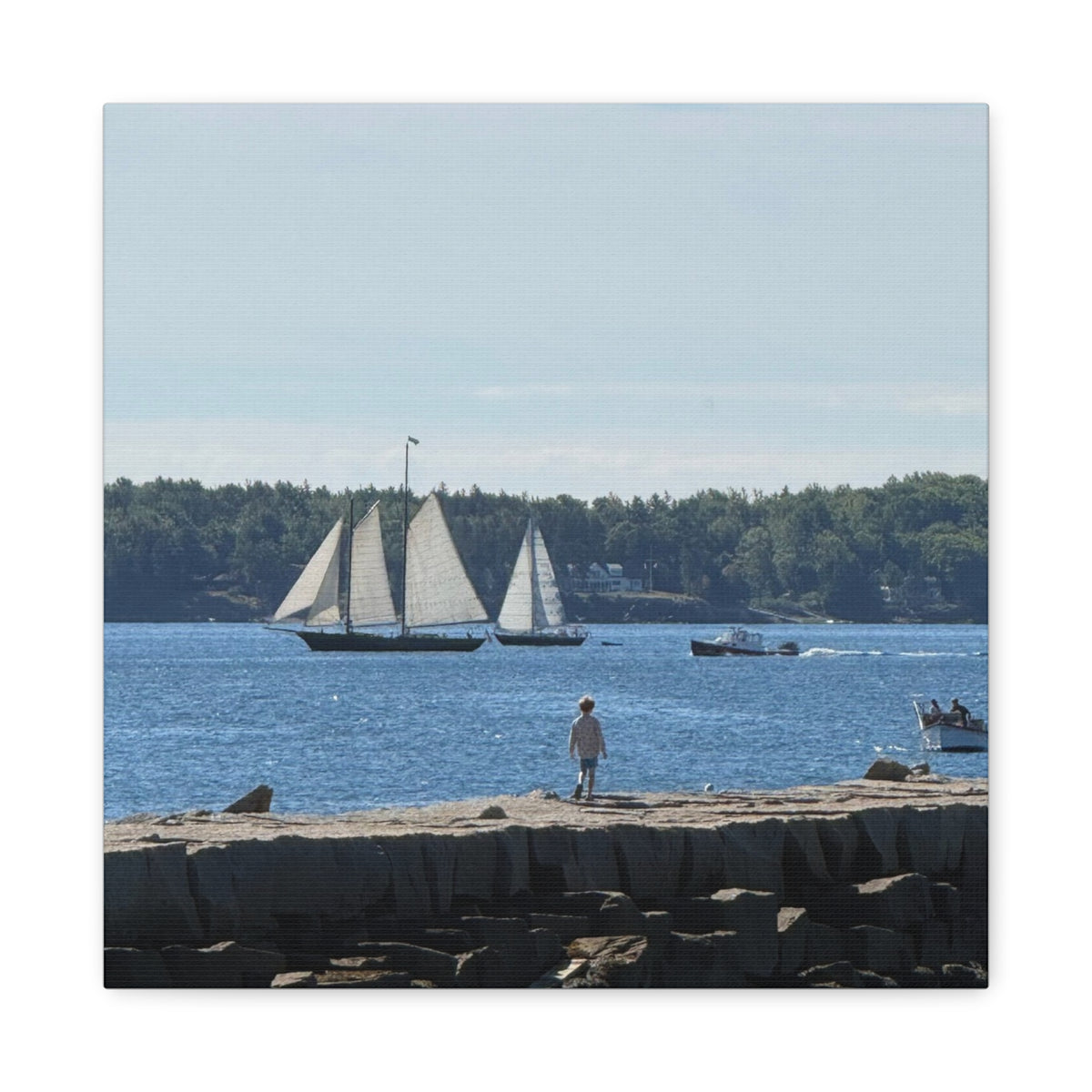 Schooner Sailboat Canvas (Rockland, Maine, USA)